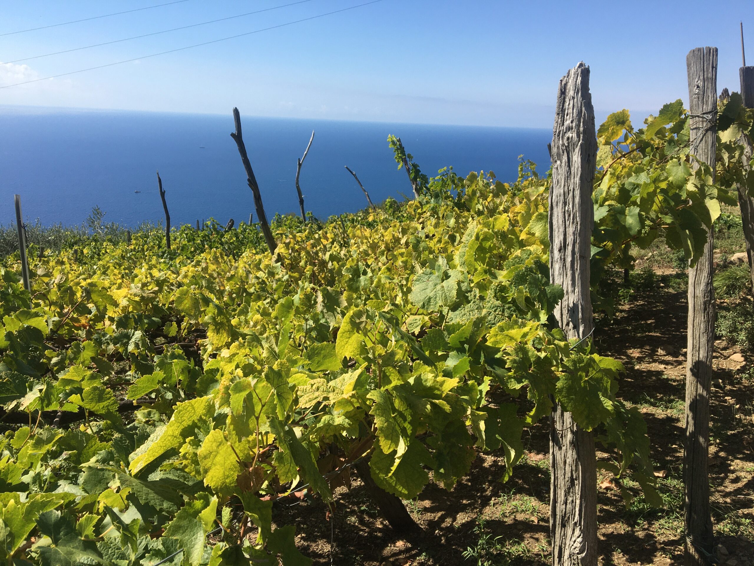 Groupe de randonneurs sur les sentiers en balcon des Cinque Terre