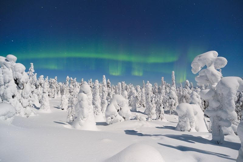 Randonnée Raquettes Laponie | 8 Jours Mars 2027 | Argos Rando