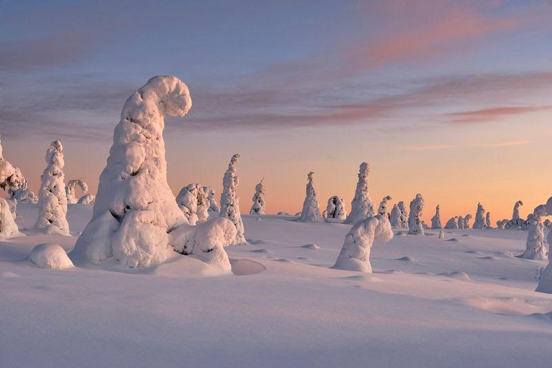 randonnee-raquettes-riisitunturi-arbres-fantomes-laponie.jpg