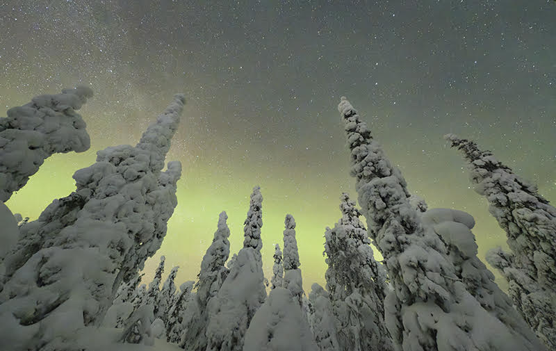 Groupe observant les aurores boréales en Laponie - Randonneurs avec trépied photo sous ciel arctique - Séjour mars"